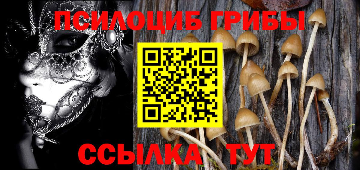 Галлюциногенные грибы Psilocybine cubensis  Галлюциногенные грибы Magic Shrooms  где найти наркотики  Вход с VPN  Реутов 