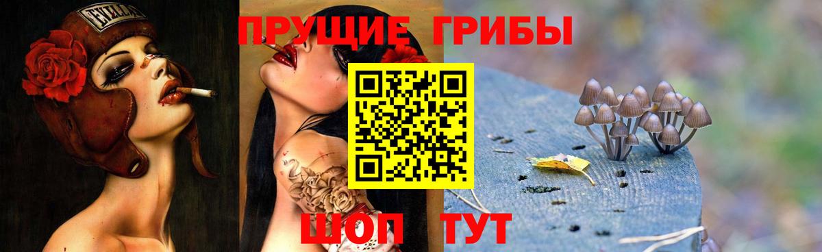 Галлюциногенные грибы прущие грибы Реутов